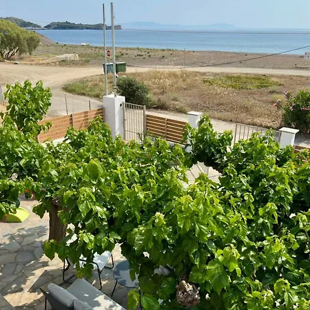 Sea Lilly Feriehus Agia Anna (Evia)