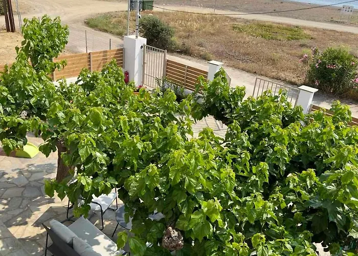 Sea Lilly Σπίτι διακοπών Αγία Άννα